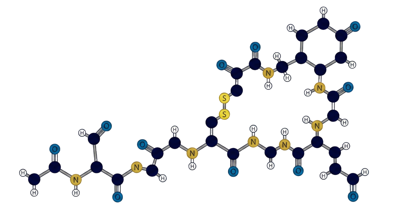 Structure of the Oxytocin molecule. Hover to see the biological process.